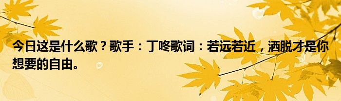 今日这是什么歌？歌手：丁咚歌词：若远若近，洒脱才是你想要的自由。