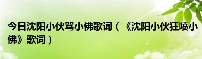 今日沈阳小伙骂小佛歌词（《沈阳小伙狂喷小佛》歌词）