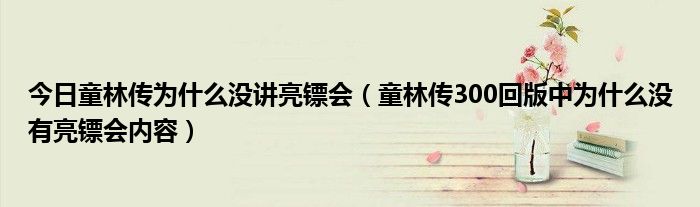 今日童林传为什么没讲亮镖会（童林传300回版中为什么没有亮镖会内容）