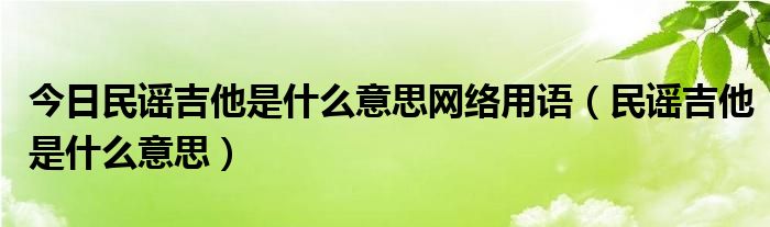 今日民谣吉他是什么意思网络用语（民谣吉他是什么意思）