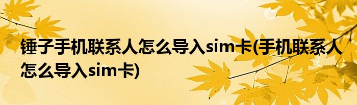 锤子手机联系人怎么导入sim卡(手机联系人怎么导入sim卡)