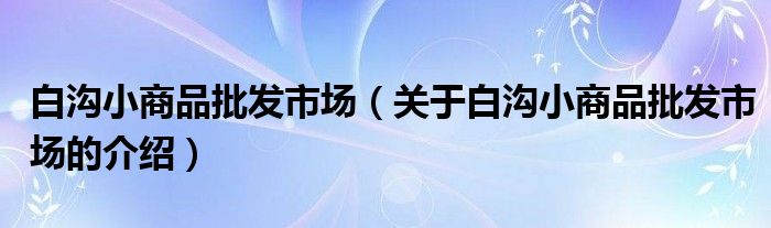 白沟小商品批发市场（关于白沟小商品批发市场的介绍）