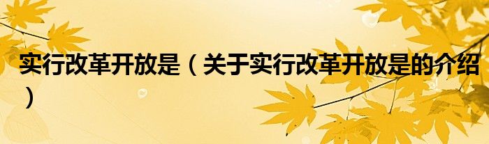 实行改革开放是（关于实行改革开放是的介绍）