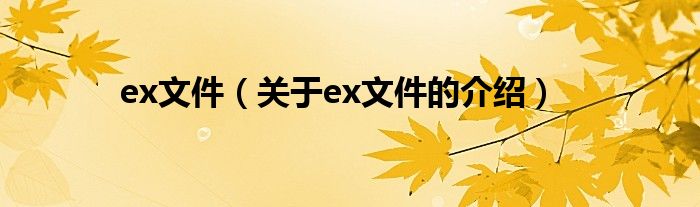 ex文件（关于ex文件的介绍）