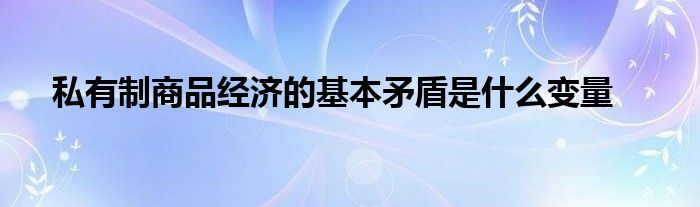 私有制商品经济的基本矛盾是什么变量