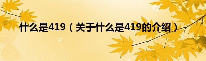 什么是419（关于什么是419的介绍）