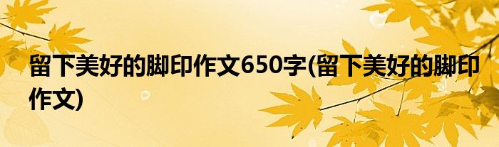 留下美好的脚印作文650字(留下美好的脚印作文)