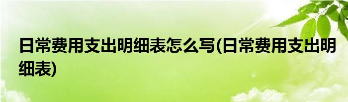 日常费用支出明细表怎么写(日常费用支出明细表)