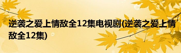 逆袭之爱上情敌全12集电视剧(逆袭之爱上情敌全12集)