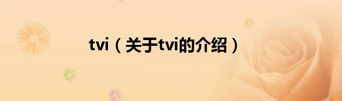 tvi（关于tvi的介绍）