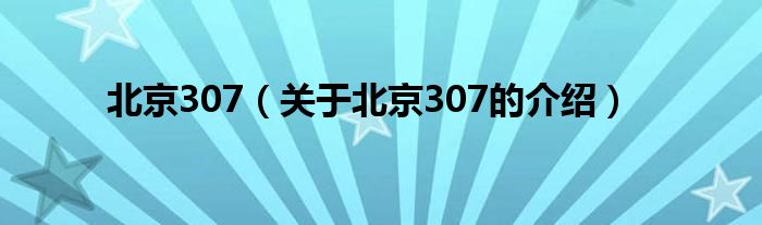 北京307（关于北京307的介绍）