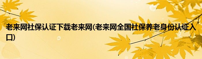 老来网社保认证下载老来网(老来网全国社保养老身份认证入口)