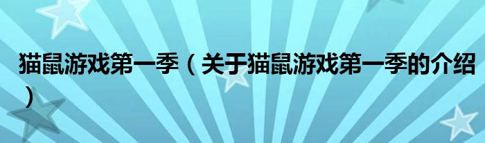 猫鼠游戏第一季（关于猫鼠游戏第一季的介绍）