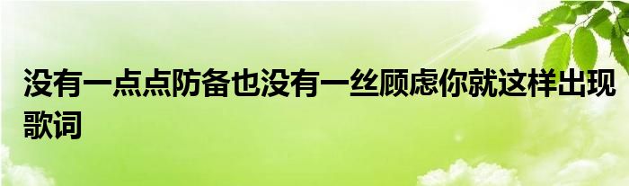 没有一点点防备也没有一丝顾虑你就这样出现歌词