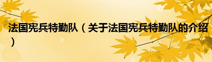 法国宪兵特勤队（关于法国宪兵特勤队的介绍）