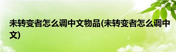 未转变者怎么调中文物品(未转变者怎么调中文)