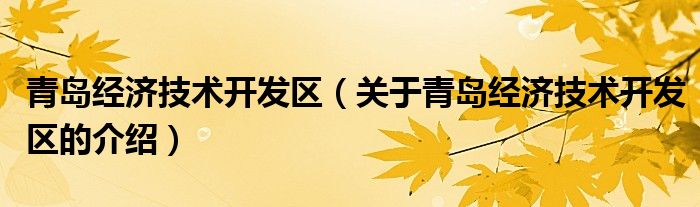 青岛经济技术开发区（关于青岛经济技术开发区的介绍）