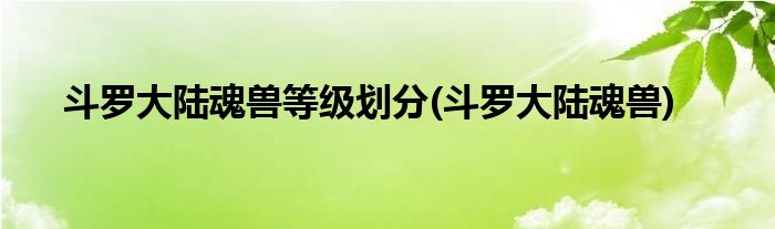 斗罗大陆魂兽等级划分(斗罗大陆魂兽)