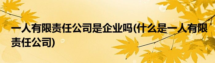 一人有限责任公司是企业吗(什么是一人有限责任公司)