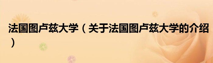 法国图卢兹大学（关于法国图卢兹大学的介绍）