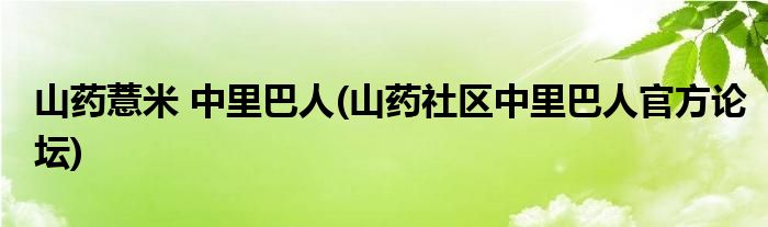 山药薏米 中里巴人(山药社区中里巴人官方论坛)