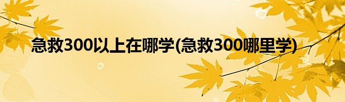 急救300以上在哪学(急救300哪里学)