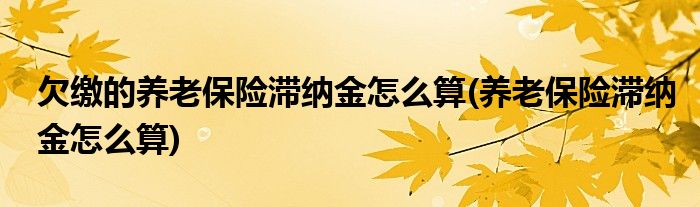 欠缴的养老保险滞纳金怎么算(养老保险滞纳金怎么算)