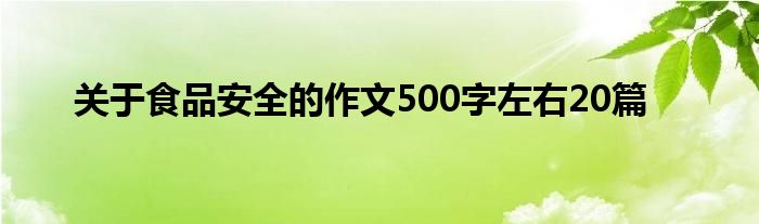 关于食品安全的作文500字左右20篇