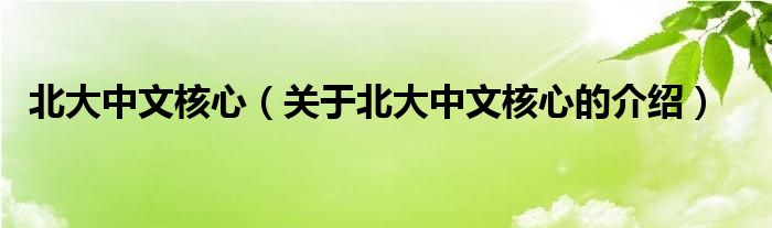 北大中文核心（关于北大中文核心的介绍）