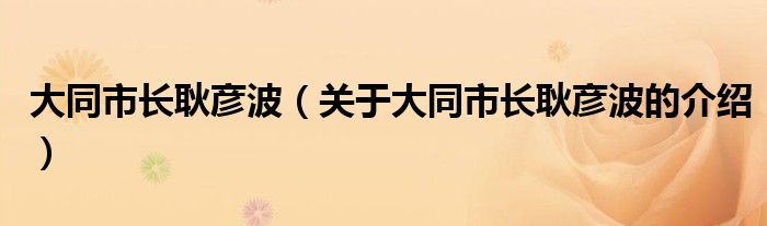 大同市长耿彦波（关于大同市长耿彦波的介绍）