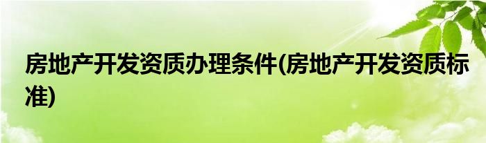 房地产开发资质办理条件(房地产开发资质标准)