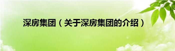 深房集团（关于深房集团的介绍）