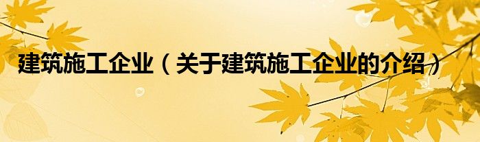 建筑施工企业（关于建筑施工企业的介绍）