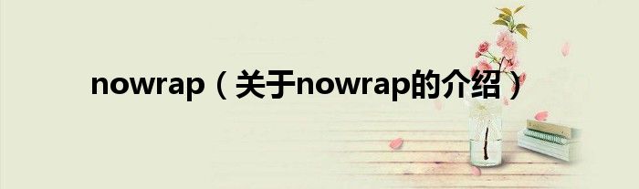 nowrap（关于nowrap的介绍）