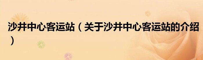 沙井中心客运站（关于沙井中心客运站的介绍）