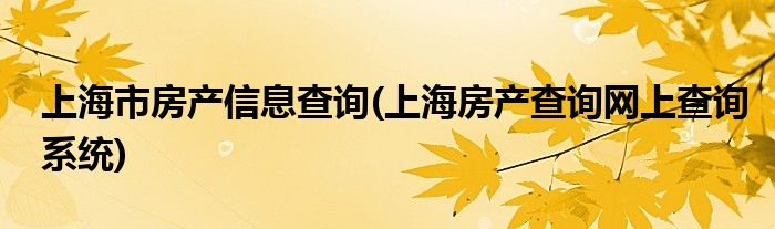 上海市房产信息查询(上海房产查询网上查询系统)