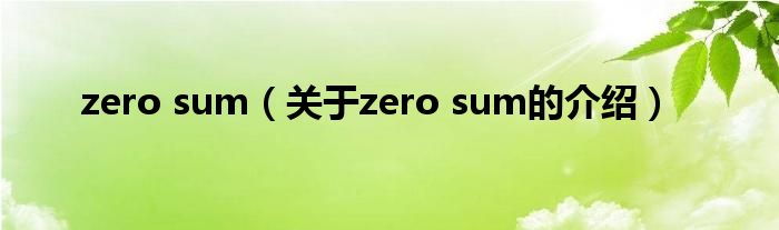 zero sum（关于zero sum的介绍）