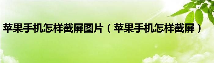 苹果手机怎样截屏图片（苹果手机怎样截屏）