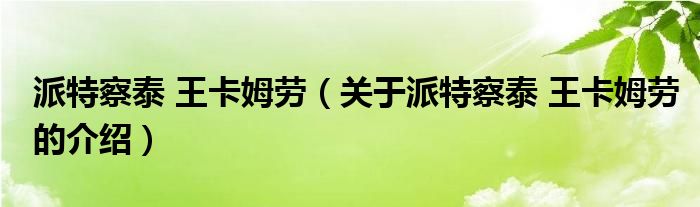 派特察泰 王卡姆劳（关于派特察泰 王卡姆劳的介绍）