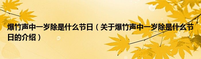 爆竹声中一岁除是什么节日（关于爆竹声中一岁除是什么节日的介绍）