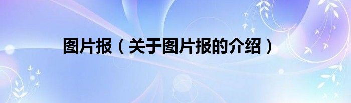 图片报（关于图片报的介绍）