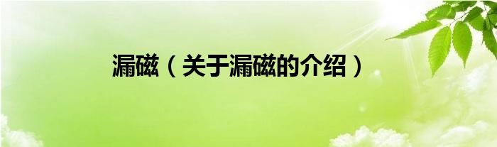 漏磁（关于漏磁的介绍）