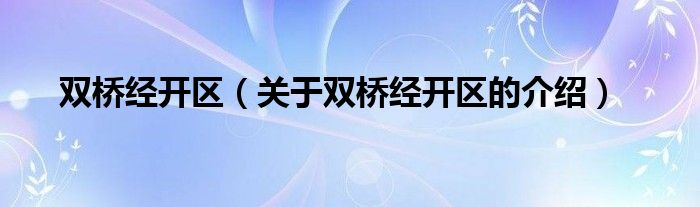 双桥经开区（关于双桥经开区的介绍）