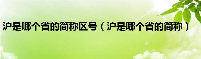 沪是哪个省的简称区号（沪是哪个省的简称）