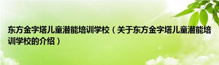 东方金字塔儿童潜能培训学校（关于东方金字塔儿童潜能培训学校的介绍）