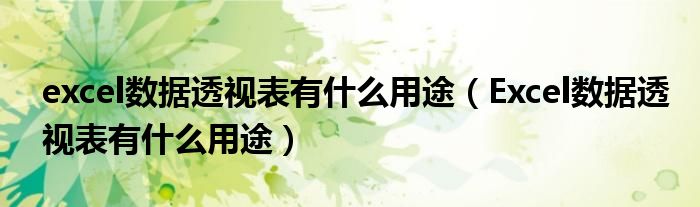 excel数据透视表有什么用途（Excel数据透视表有什么用途）