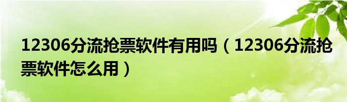 12306分流抢票软件有用吗（12306分流抢票软件怎么用）