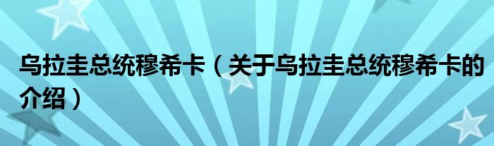 乌拉圭总统穆希卡（关于乌拉圭总统穆希卡的介绍）