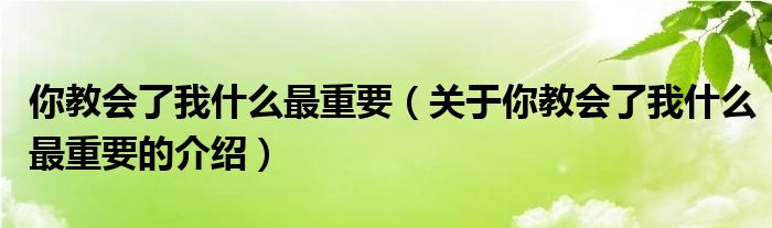 你教会了我什么最重要（关于你教会了我什么最重要的介绍）