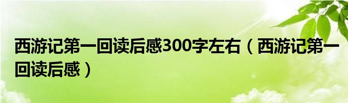 西游记第一回读后感300字左右（西游记第一回读后感）